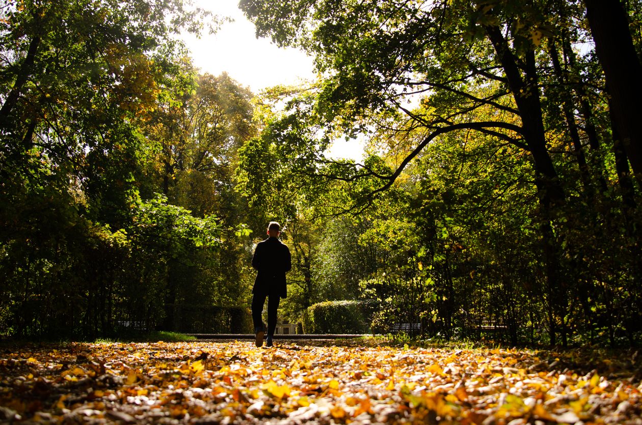 Persona che cammina sola in un parco autunnale verso la luce
